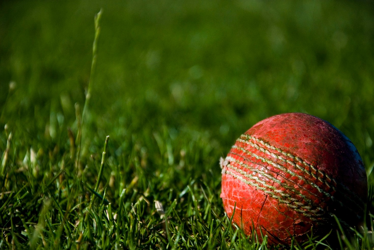 Top Strategies for Successful IPL Betting