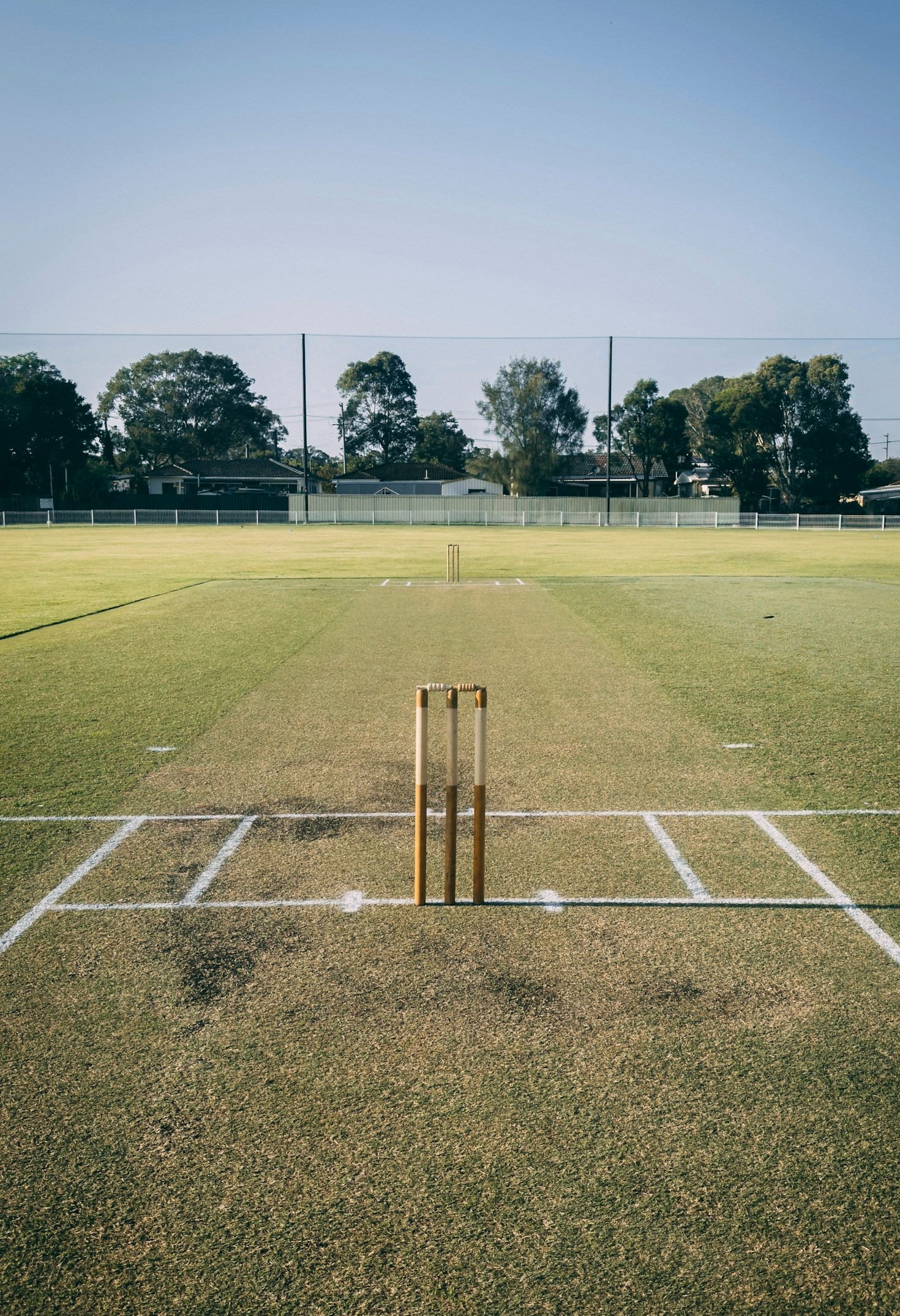 The Rise of T20 Betting: A Guide for Fans